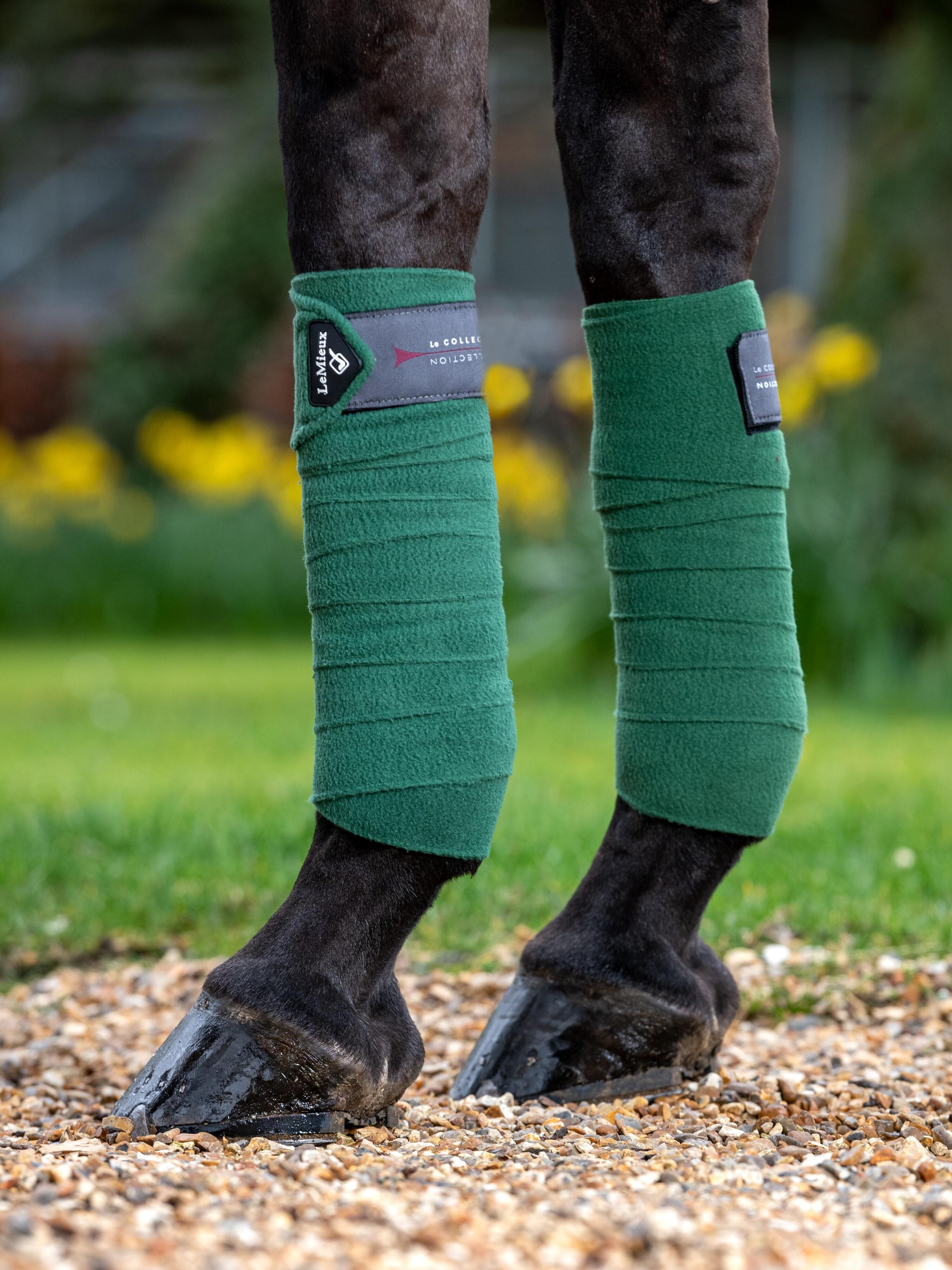 Paardenpolobanden LeMieux Classic 2/3