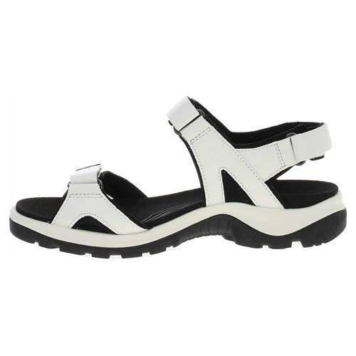 Buty do chodzenia męskie Ecco 82215301007