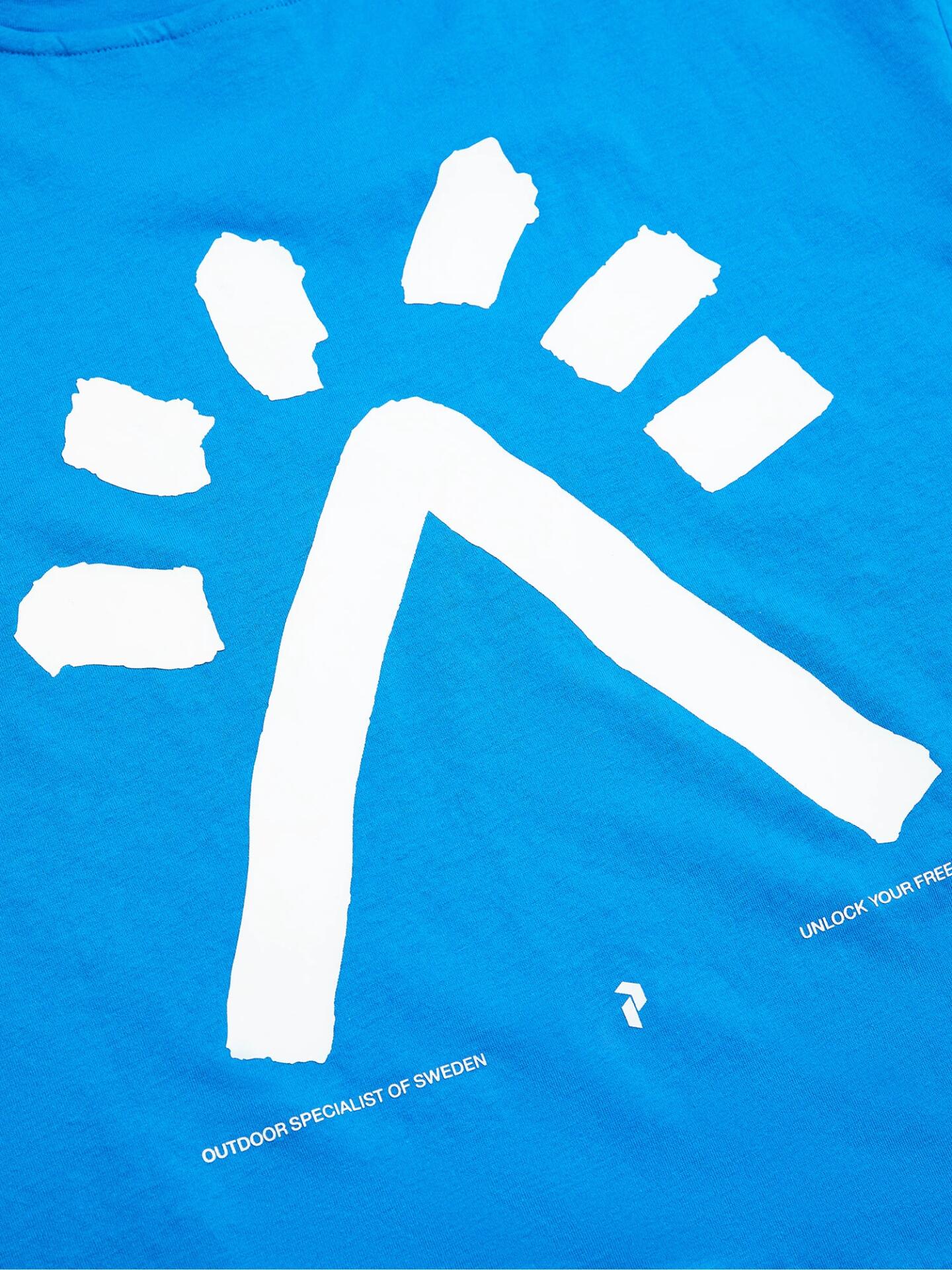 Koszulka Peak Performance męska Explore Graphic Tee niebieska - L 6/6