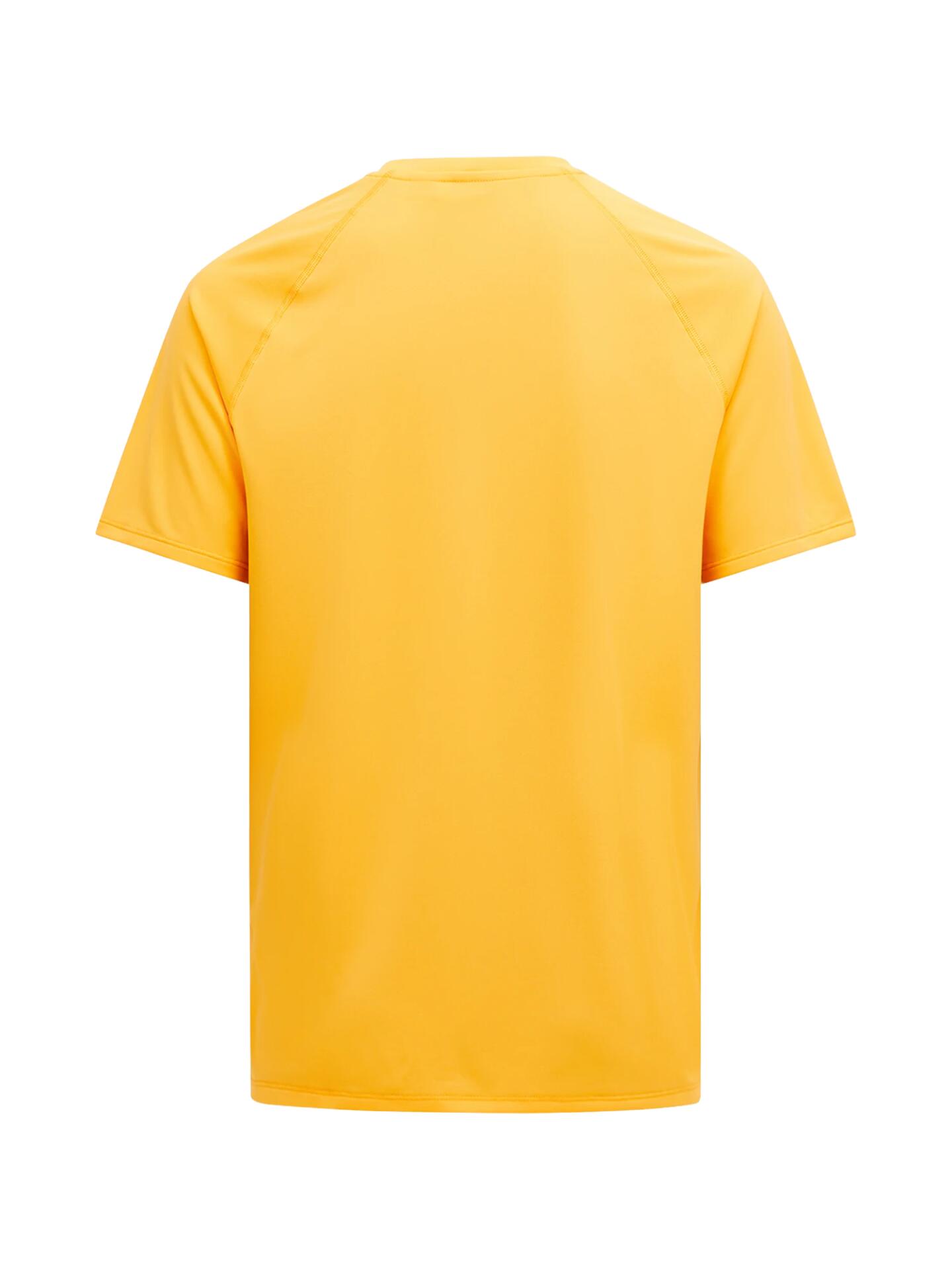 Koszulka Peak Performance męska Active Tee pomarańczowa - M 4/6