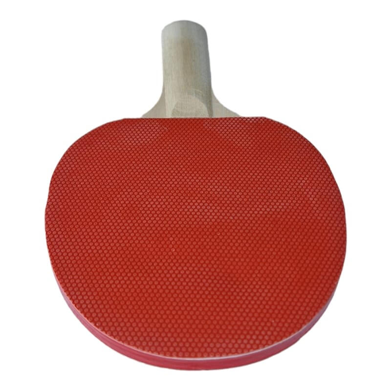 Set na stolní tenis MASTER T30 6/7