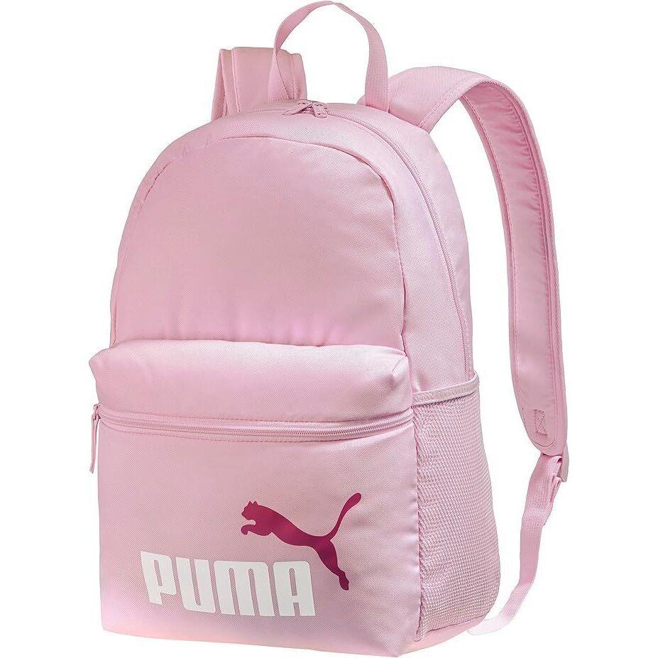 PUMA picture