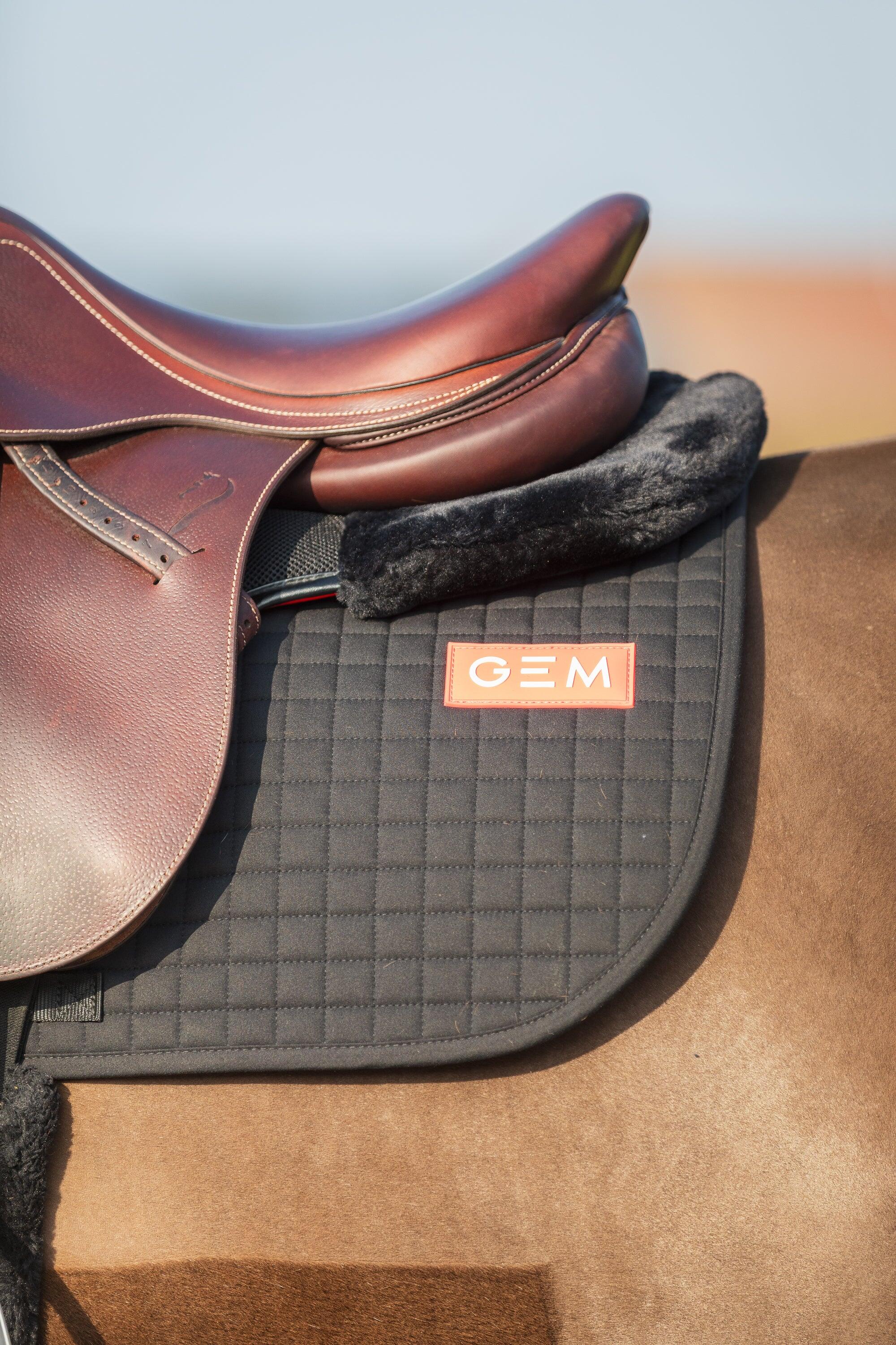 GEM EQUITATION picture