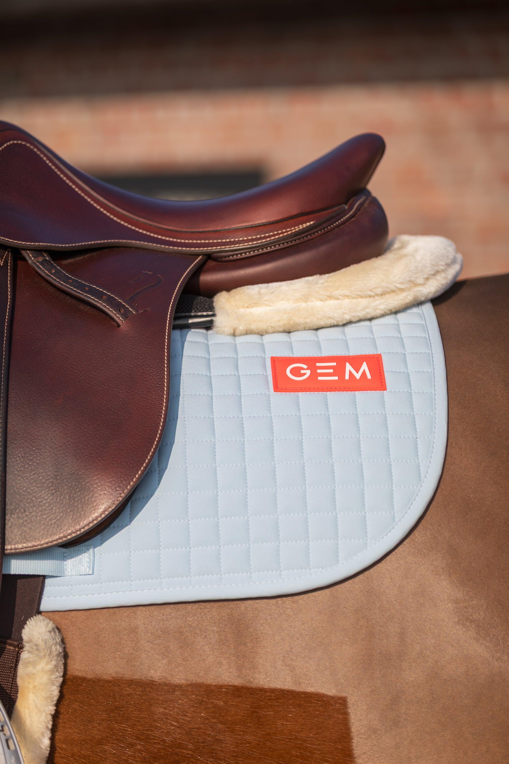 GEM EQUITATION picture