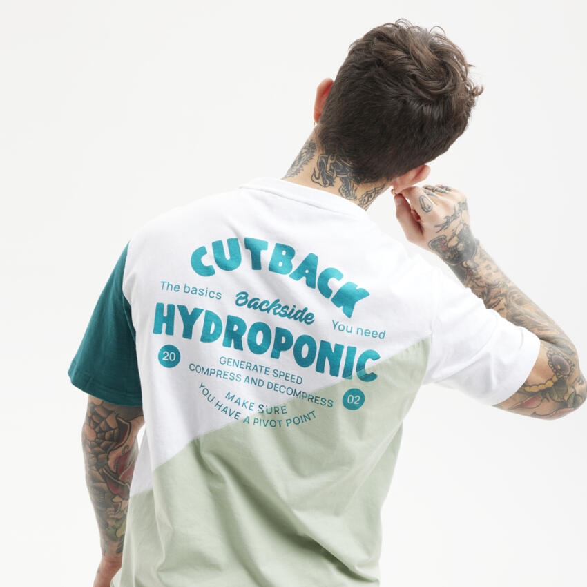 HYDROPONIC picture
