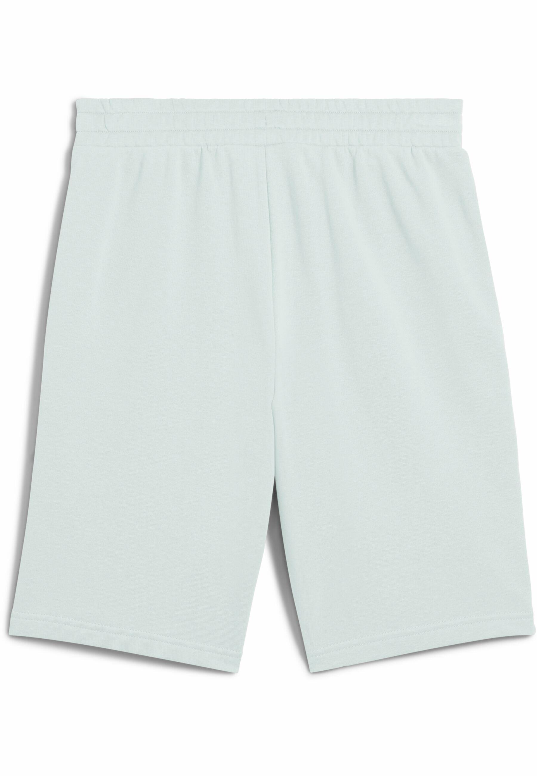 Shorts Essentials con logo N. 1 bicolore da 10" da uomo PUMA Peaceful Blue 6/7