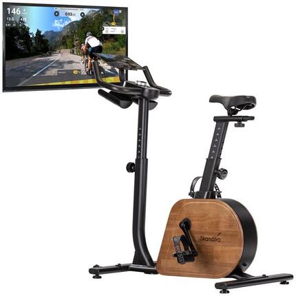 Heimtrainer Fahrrad - Trevek P12-G - Fahrradergometer mit Stromgenerator