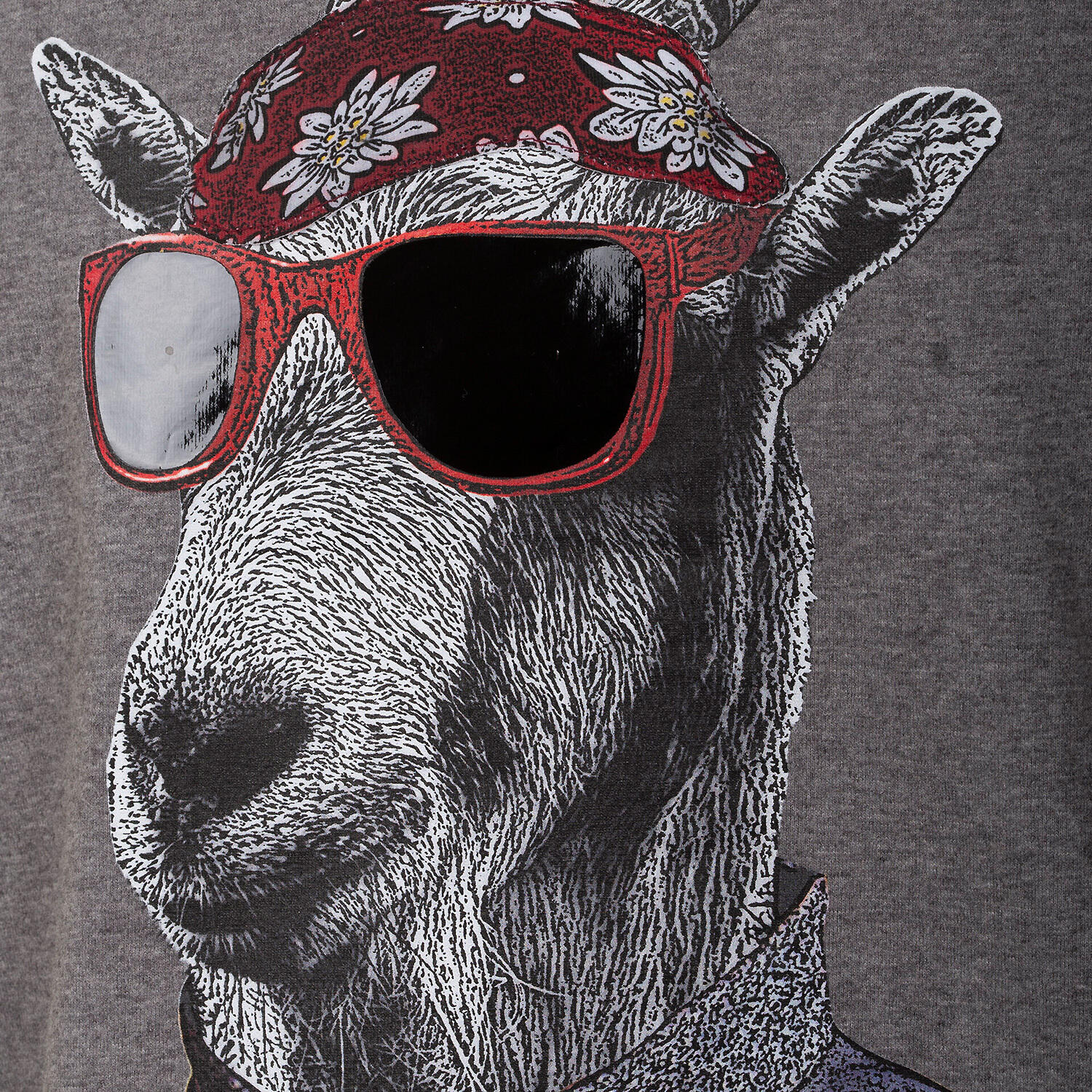 Herren Shirt Oisbergalm 3/3