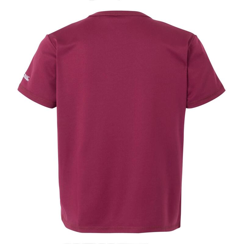 Tricou Drumeții În Natură Regatta Alvarado IX Pământ Copii