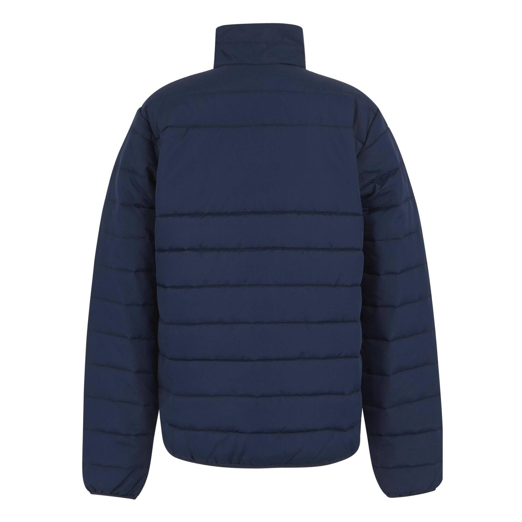 Veste Thermique Homme (Bleu Marine) 2/5