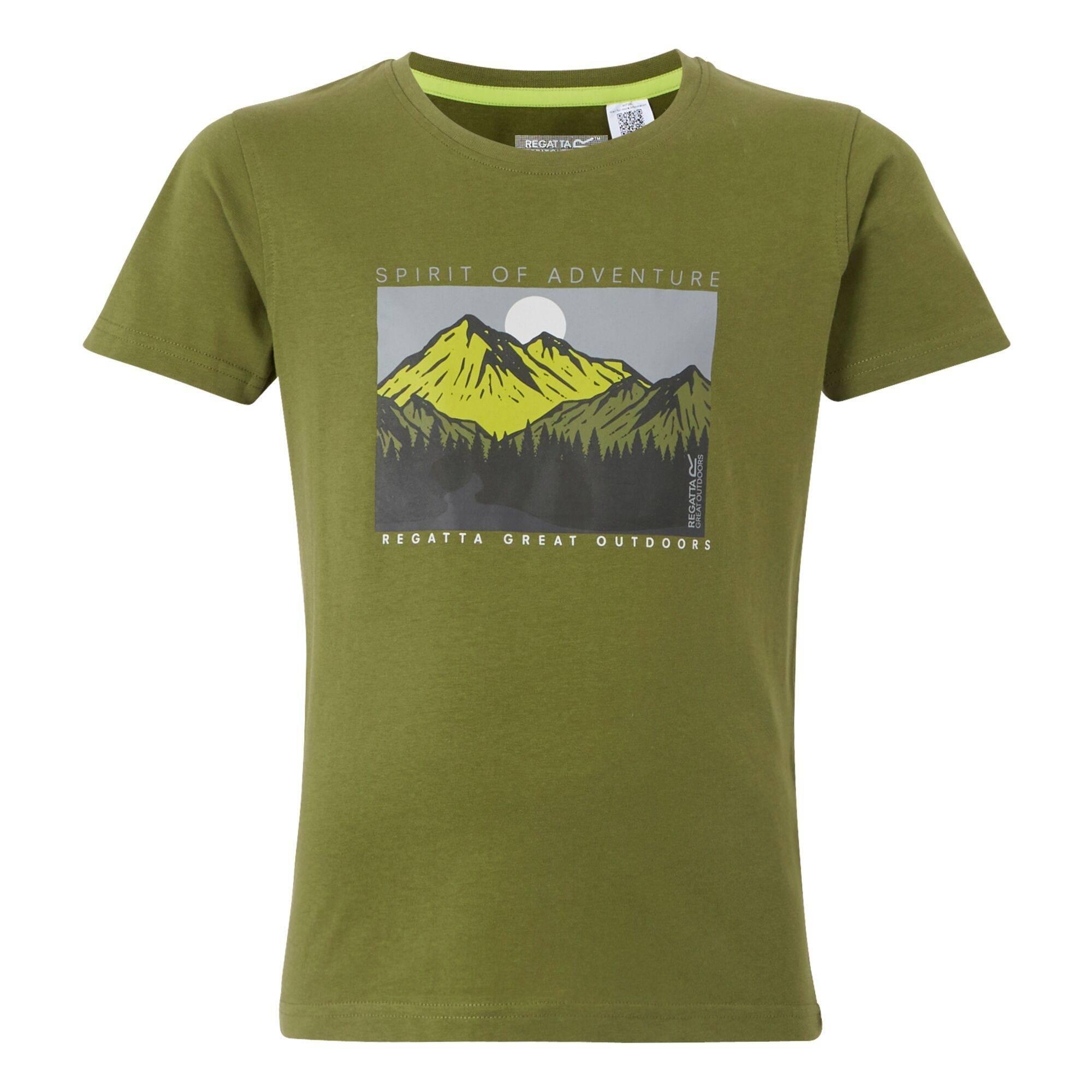 REGATTA Childrens/Kids Bosley VIII Mountain TShirt (Nephrite Green)
