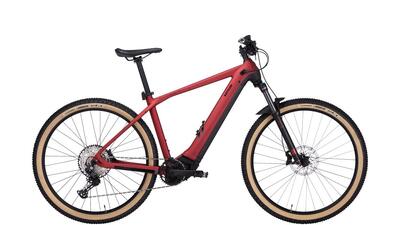 E-Bike E-Transhill CX12 E-Mountainbike Hardtail Herren 54 cm Rot 29 Zoll