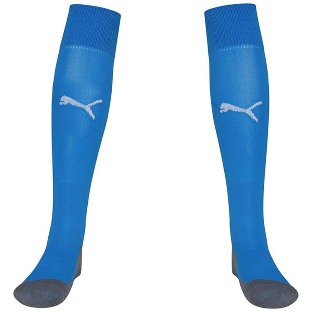 Childrens/Kids Liga Core Football Socks (Blue)