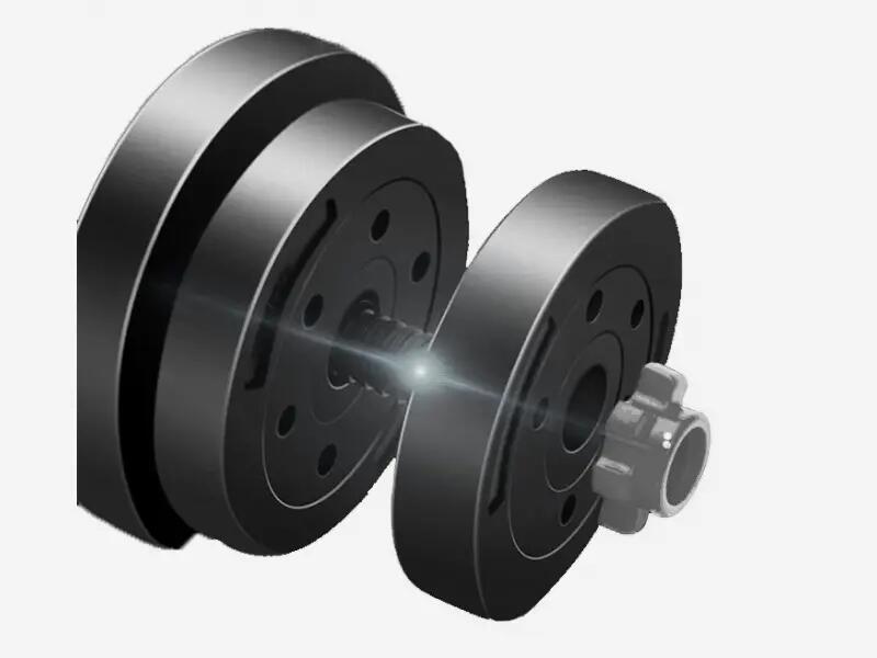 Set gantera 10 Kg 4/6