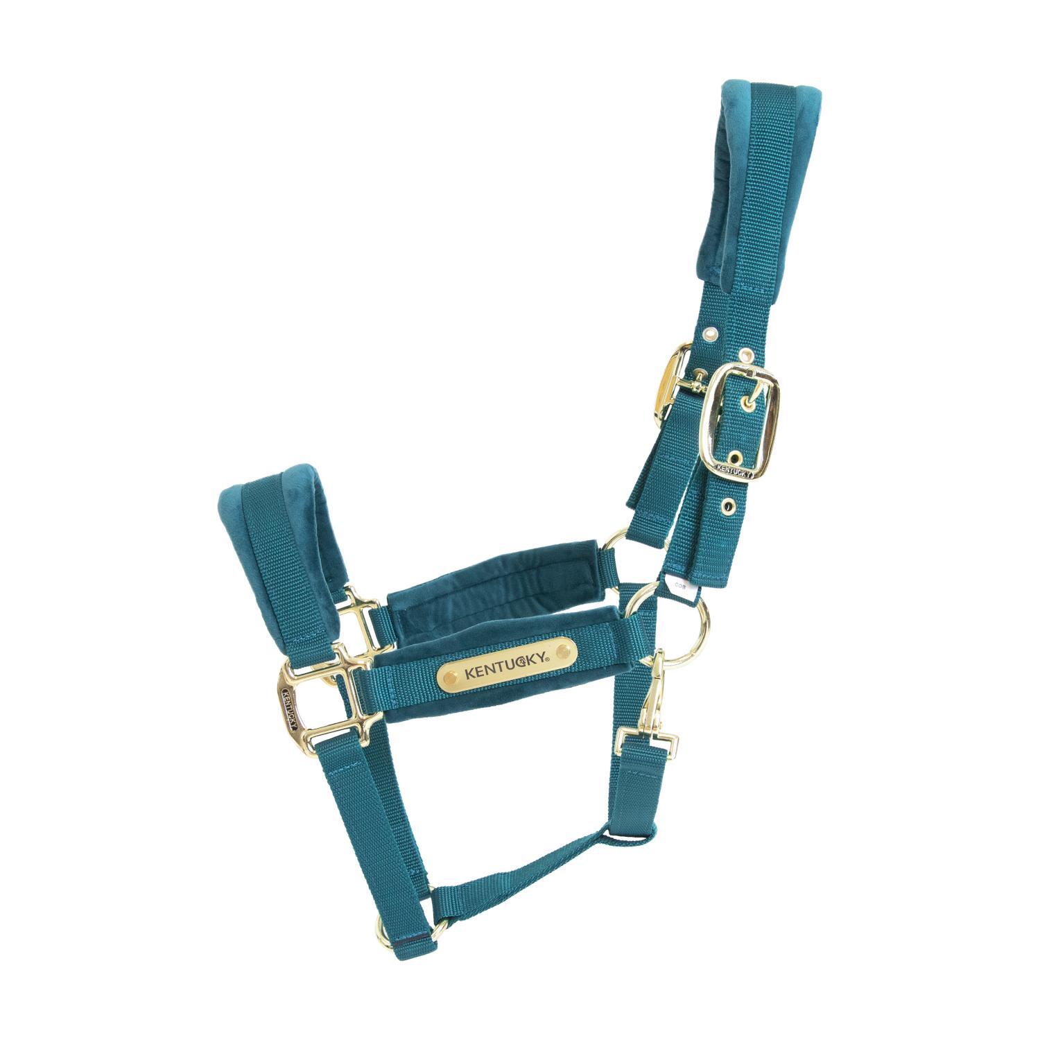 KENTUCKY HORSEWEAR Velvet halster smaragd cob