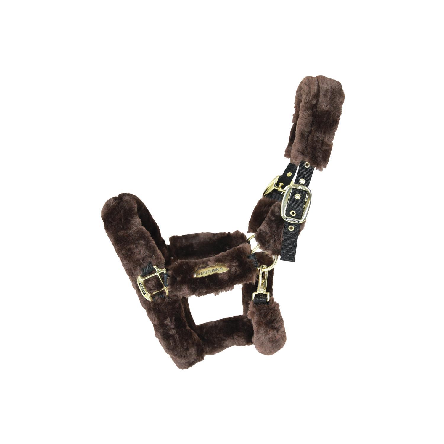 KENTUCKY HORSEWEAR Transport Halster FULL - Bruin - Vegan wol