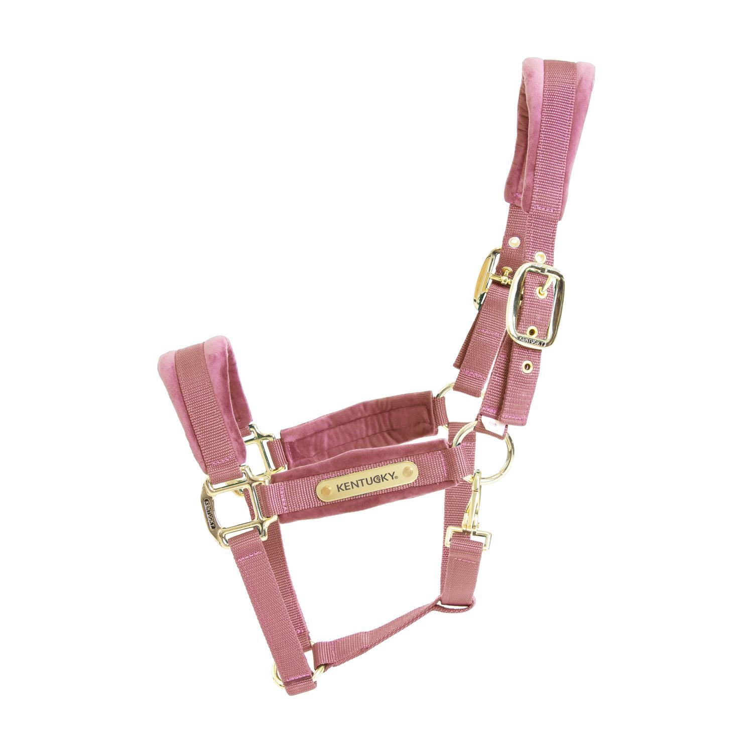 KENTUCKY HORSEWEAR Halster - Velvet - Oud Roze - Full