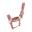 Licol FULL - Vieux rose - Velours