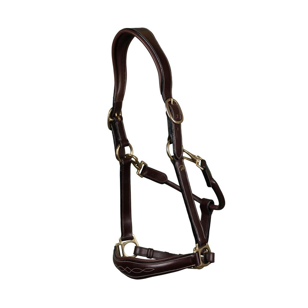 Leather halter for horse Dy'on