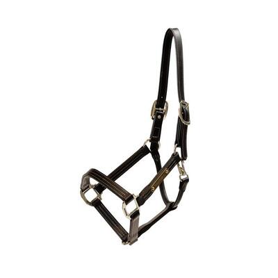 Leder halster wellington bruin cob