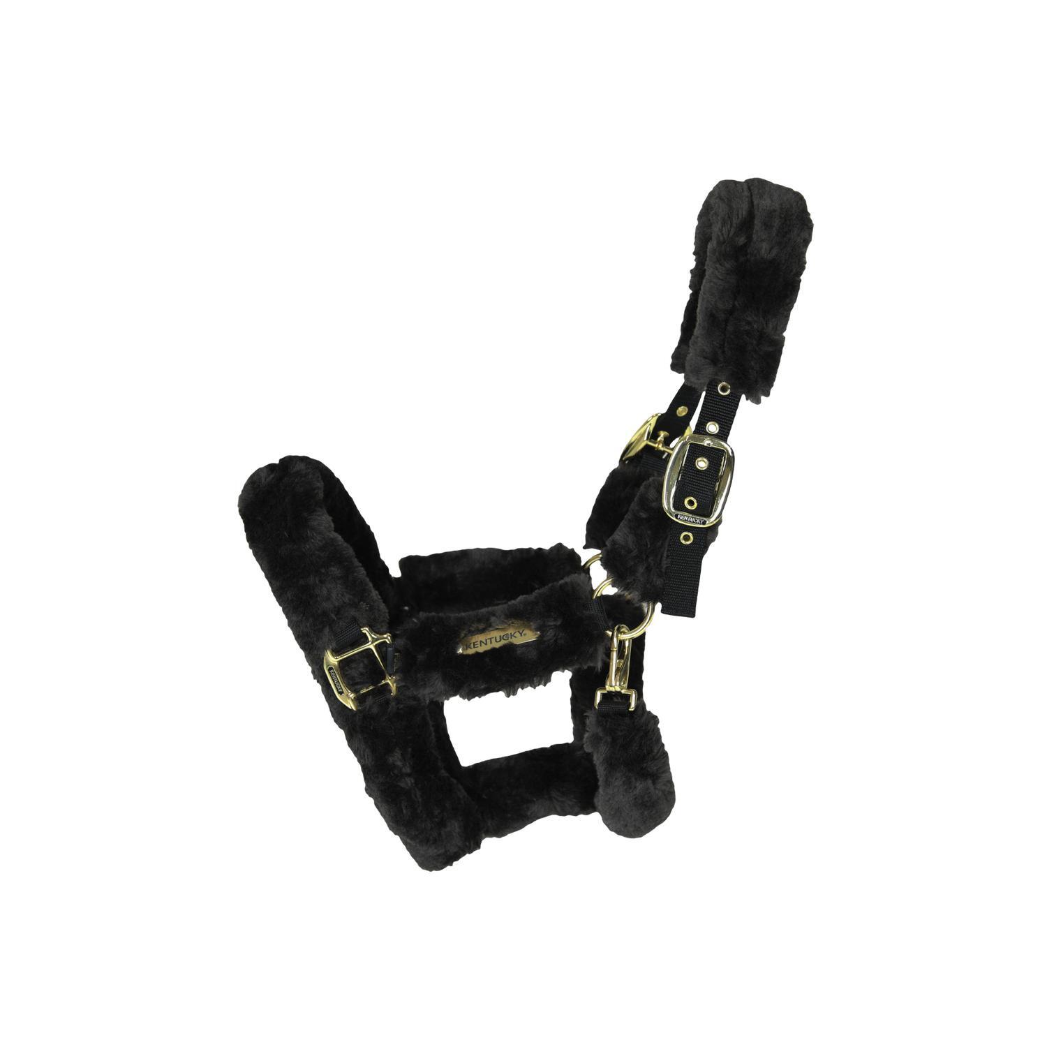 KENTUCKY HORSEWEAR Transport Halster COB - Zwart - Vegan wol