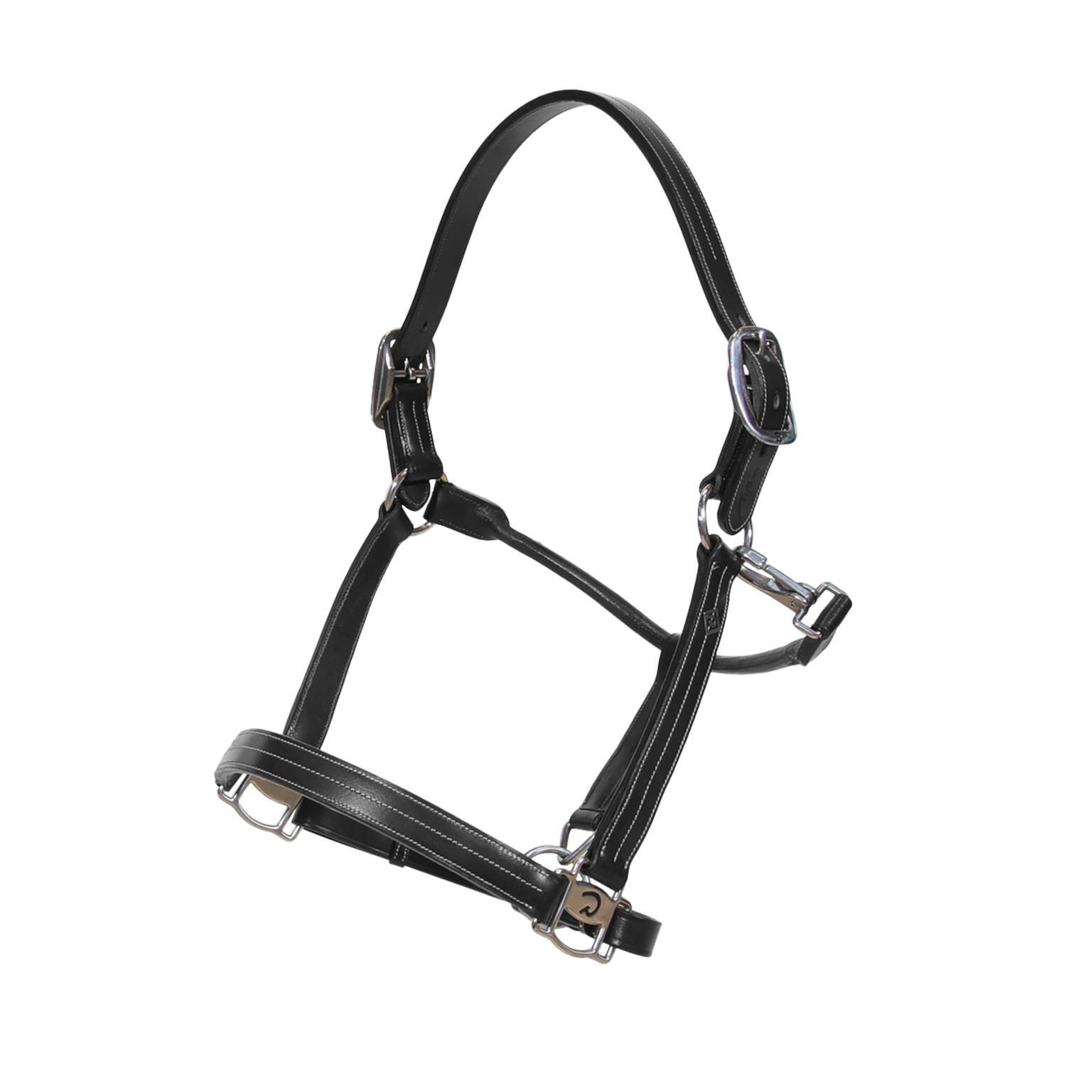 KENTUCKY HORSEWEAR Halster FULL - Zwart - Buffelleer