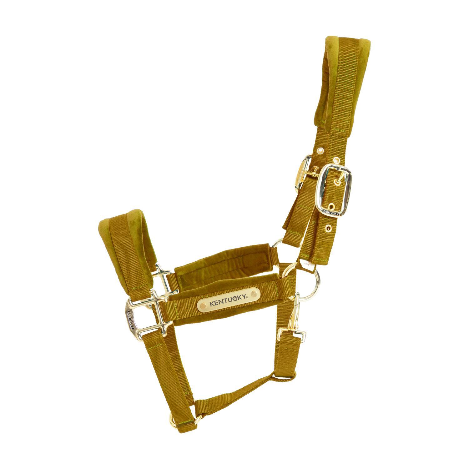 KENTUCKY HORSEWEAR Halster Velvet - Donkergeel