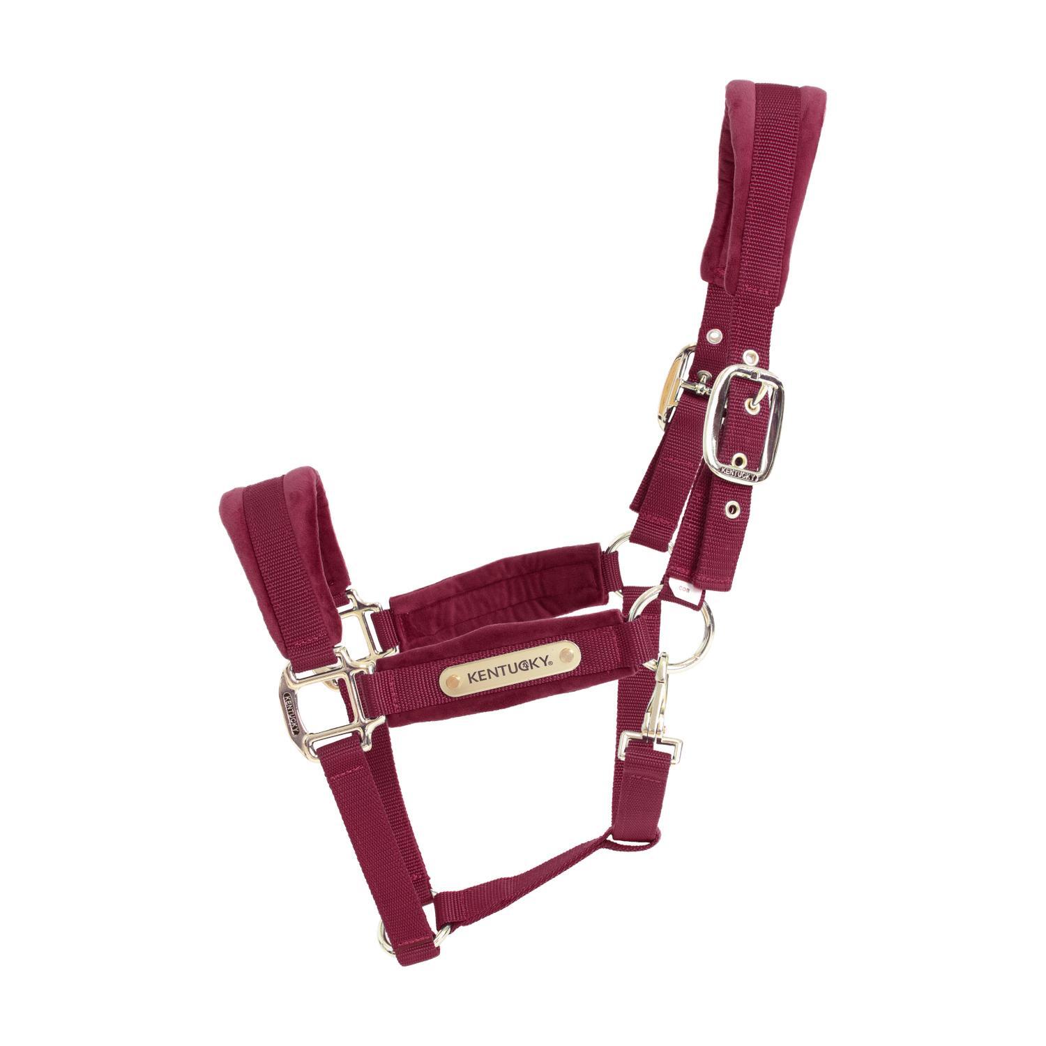 KENTUCKY HORSEWEAR Halster - Velvet - Bordeaux - Full