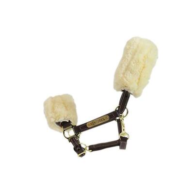 Leder Halfter mit Fell Shetty