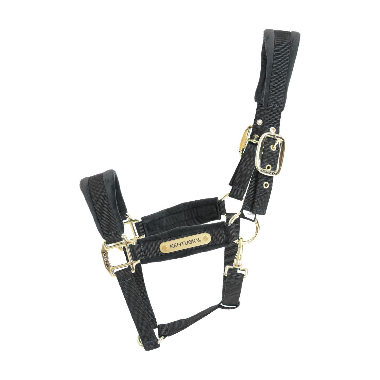 KENTUCKY HORSEWEAR Halster - Velvet - Zwart - Cob