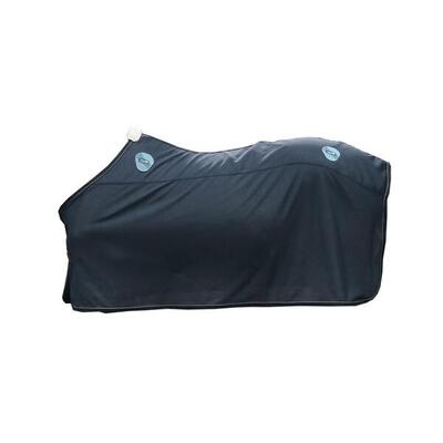 Magnetic Rug Recuptex 80-4'0