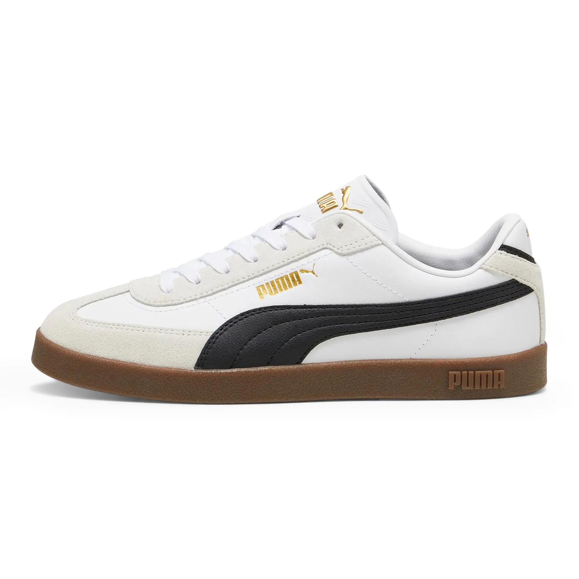 PUMA picture