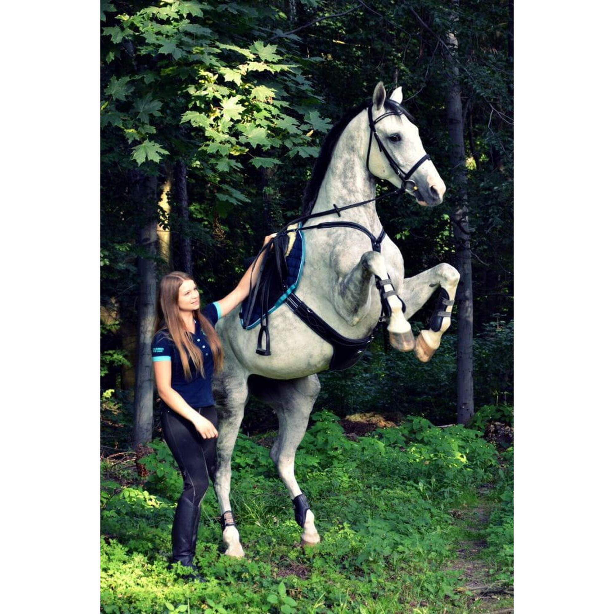 VSS din piele START Belly cu șorț