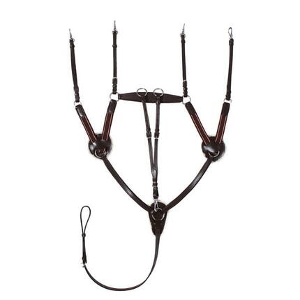 Vorderzeug Leder 5-Punkt-Vergurtung mit Martingal Pferd START schwarz/braun