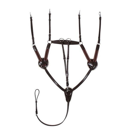 Vorderzeug Leder 5-Punkt-Vergurtung mit Martingal Pferd START schwarz/braun