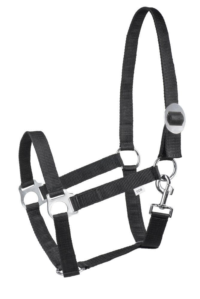 Halter START Economic
