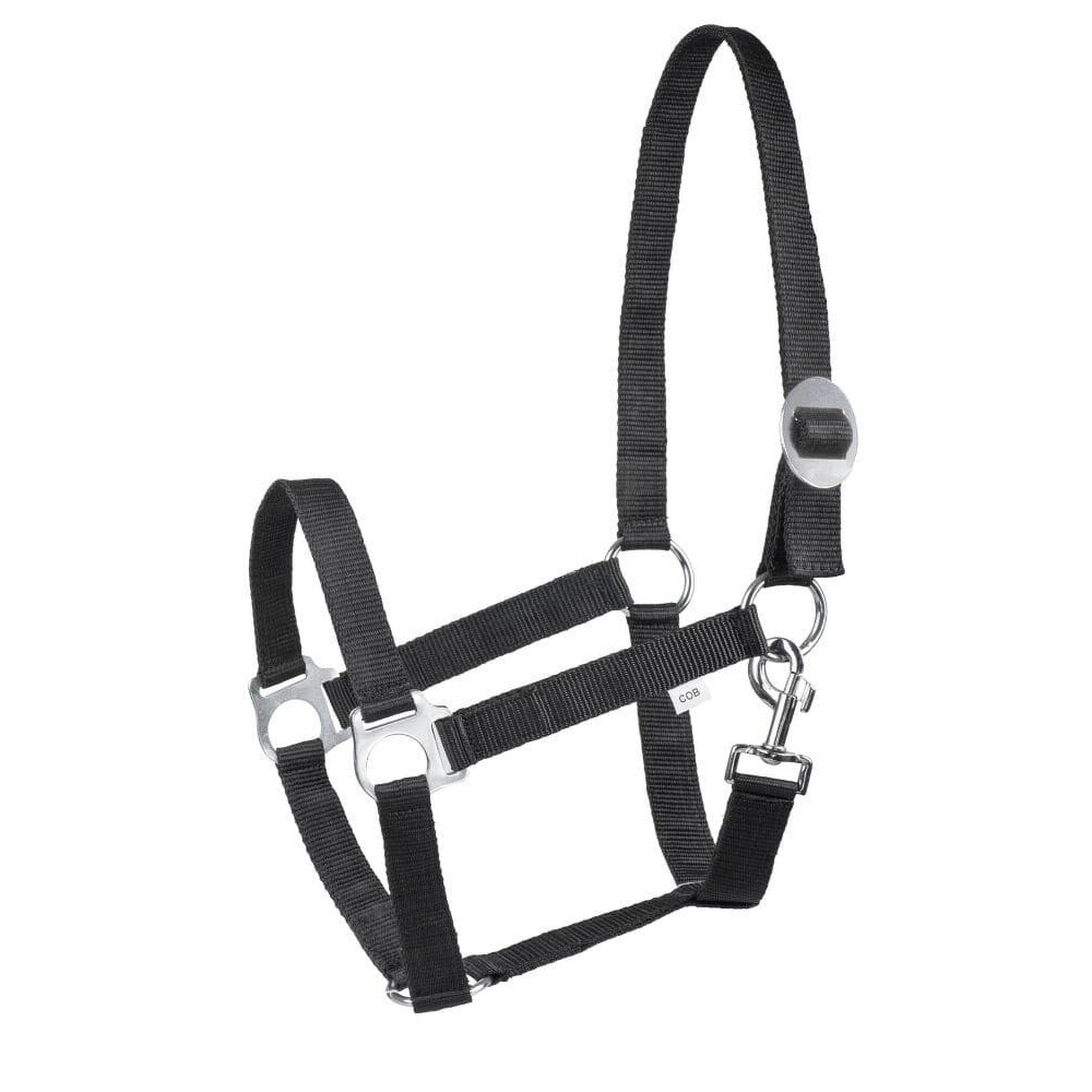 Halter START Economic