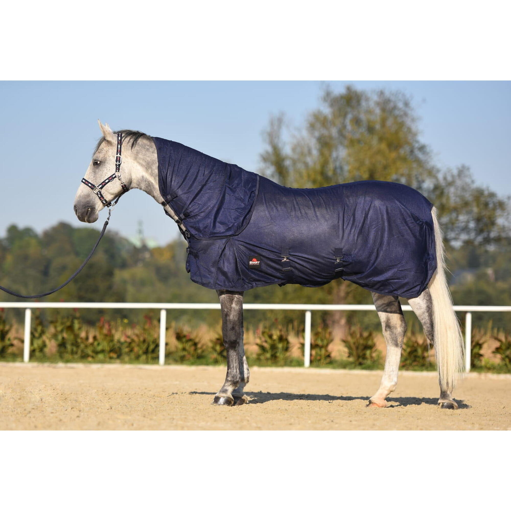 START Deka síťovaná pro koně a poníky Combo Belly
