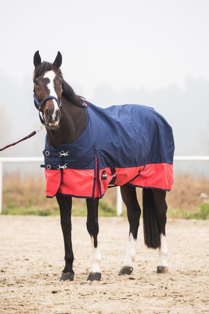 Couverture d'extérieur pour cheval de paddock 2-tone 0g 600d 6/6