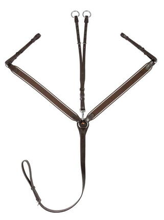 Vorderzeug Leder mit Martingal Pferd START Elastic schwarz/braun