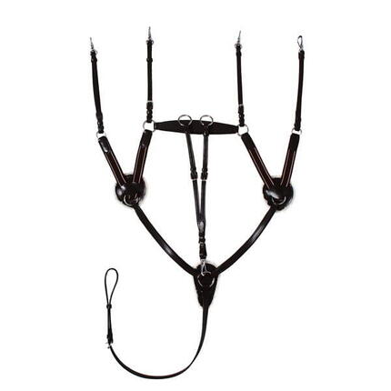 Vorderzeug Leder 5-Punkt-Vergurtung mit Martingal Pferd START schwarz/braun