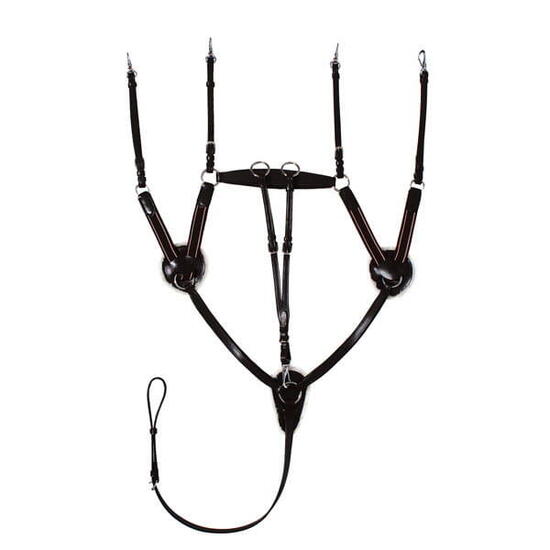 Vorderzeug Leder 5-Punkt-Vergurtung mit Martingal Pferd START schwarz/braun