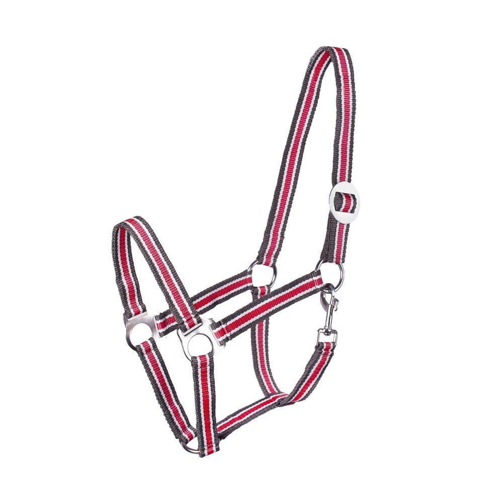 Halter START Economic
