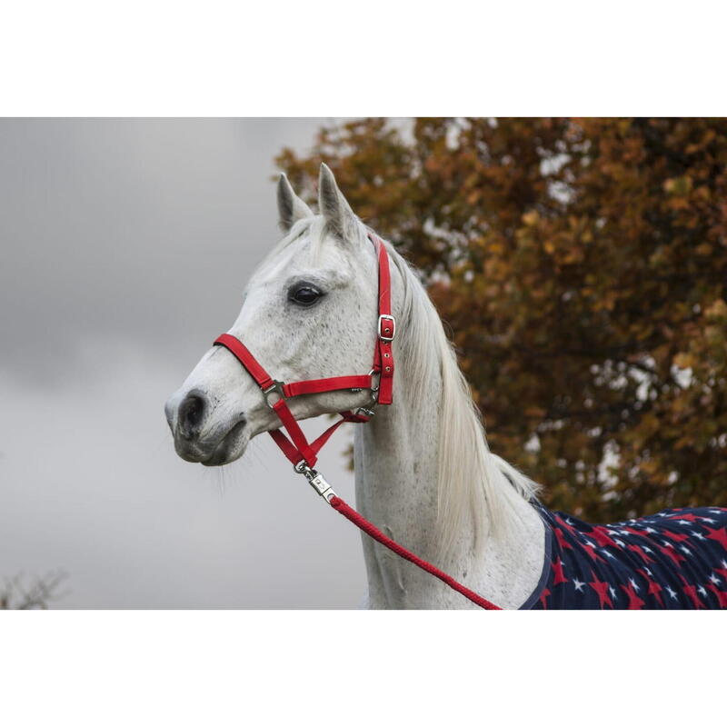 Halter START Economic Lined