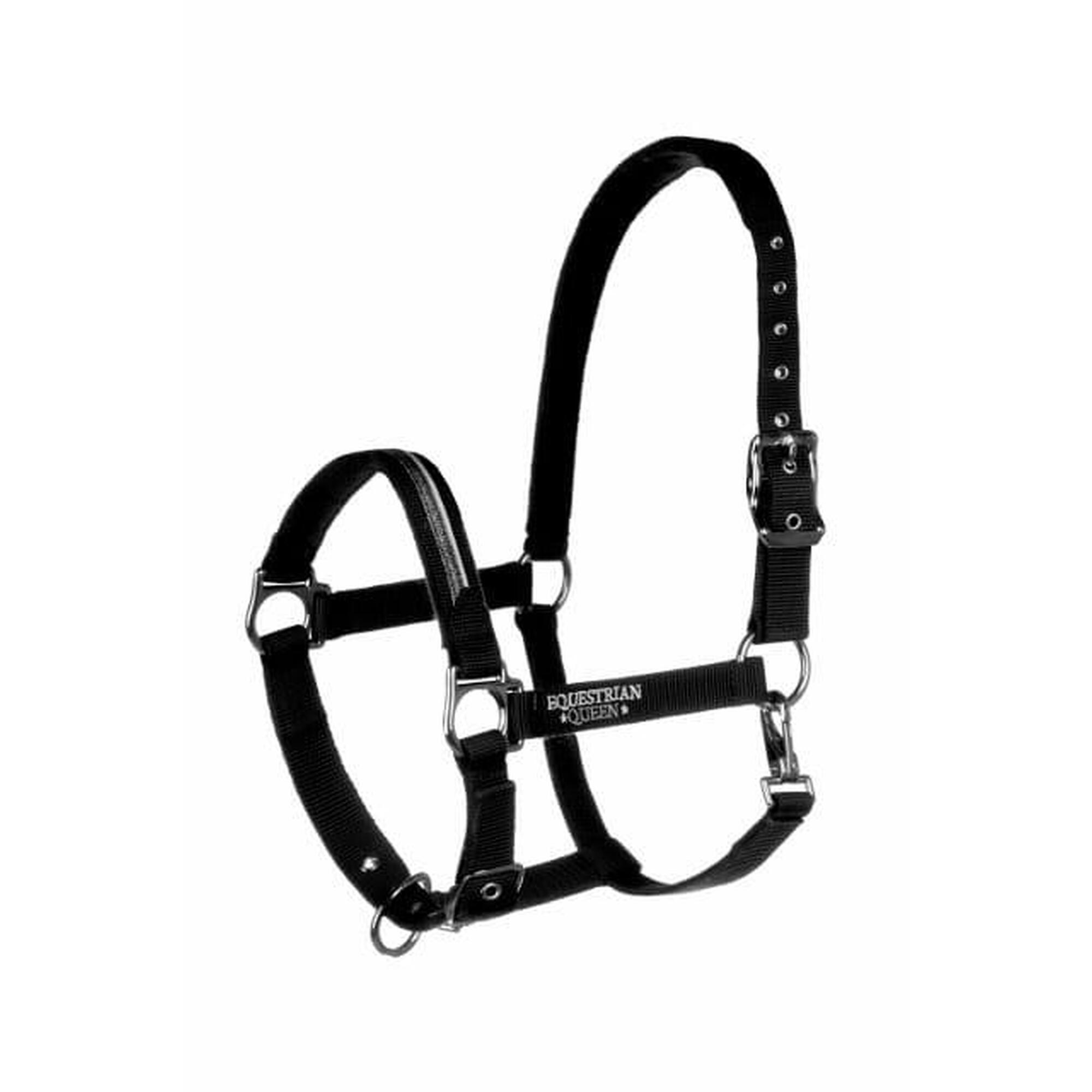 Equestrian Queen - Licol Équitation Paris - Licol - Noir - Cs - Decathlon