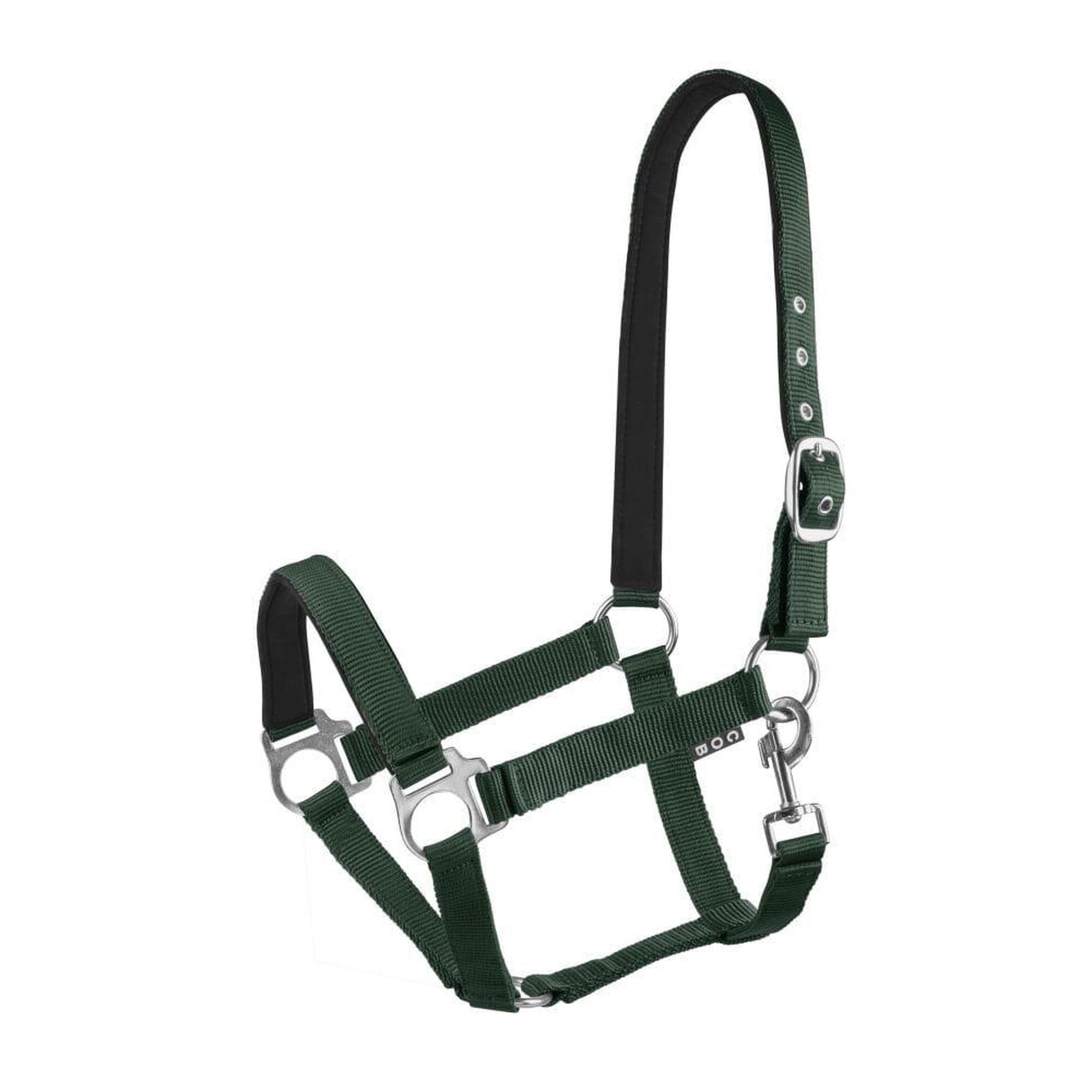 Halter START Economic Lined