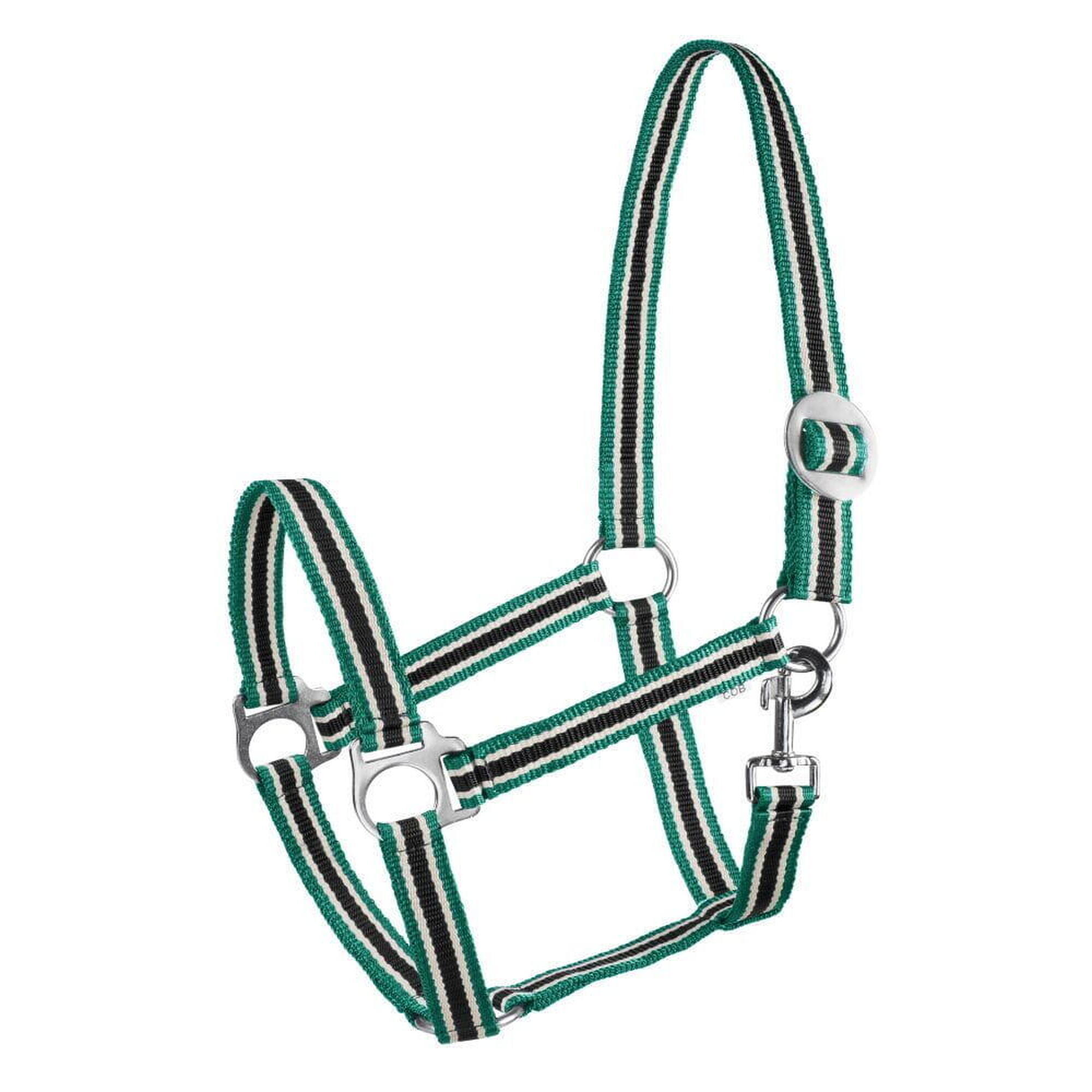 Halter START Economic
