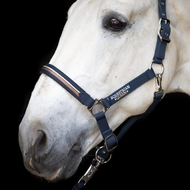 Kantar dla konia EQUESTRIAN QUEEN Paris podszyty