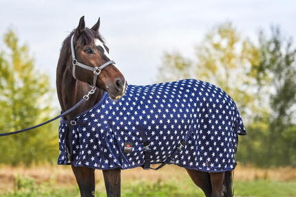 Couverture anti-mouches pour cheval Stars