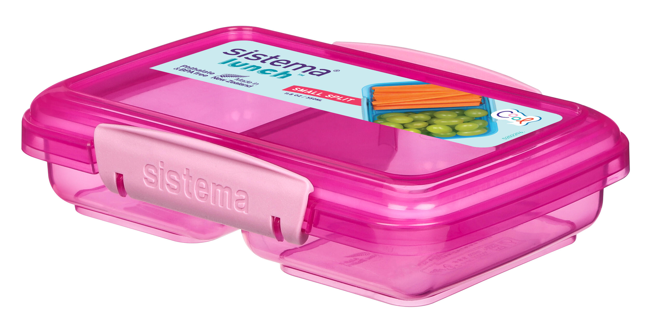 SISTEMA picture